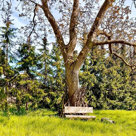 Buddhas Bed & Wellness - Retreat - Feel Good Food - B&b- Mit Viel Herz Fuer Koerper Geist & Seele Tosterglope