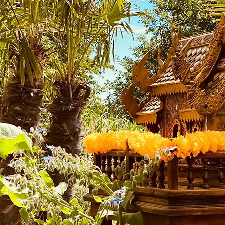 Buddhas Bed & Wellness - Retreat - Feel Good Food - B&b- Mit Viel Herz Fuer Koerper Geist & Seele 4*