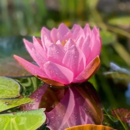 Buddhas Bed & Wellness - Retreat - Feel Good Food - B&b- Mit Viel Herz Fuer Koerper Geist & Seele
