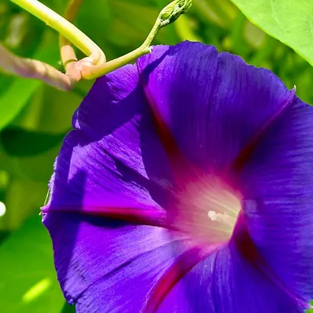 Buddhas Bed & Wellness - Retreat - Feel Good Food - B&b- Mit Viel Herz Fuer Koerper Geist & Seele