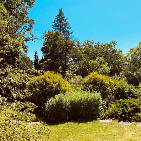 Nocleg ze śniadaniem Buddhas Bed & Wellness - Retreat - Feel Good Food - B&b- Mit Viel Herz Fuer Koerper Geist & Seele