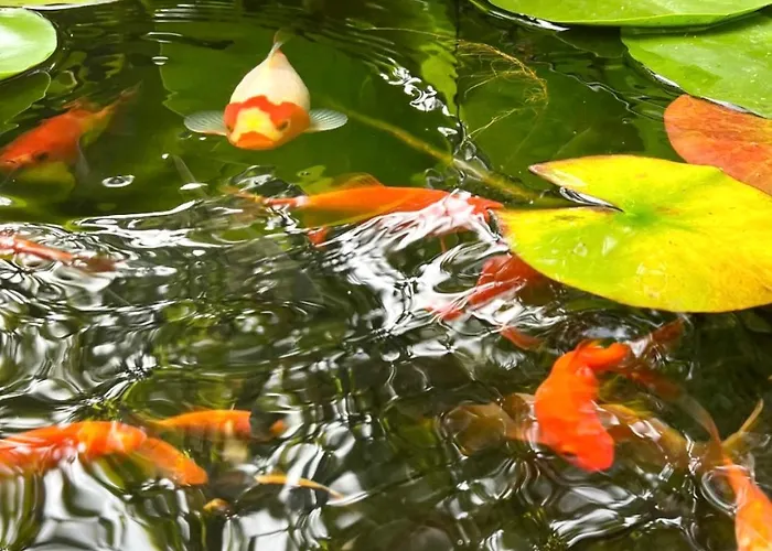 Buddhas Bed & Wellness - Retreat - Feel Good Food - B&b- Mit Viel Herz Fuer Koerper Geist & Seele Отель типа 